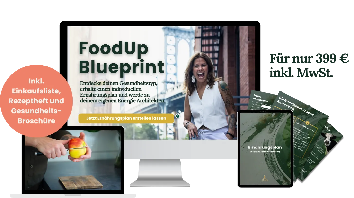 Ernaehrungsplan_Mockup_red